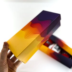 FUNNYSOXX Motifli Kadın Sneaker Çorap – 3’lü Set | Günlük & Mevsimlik - funnysoxx