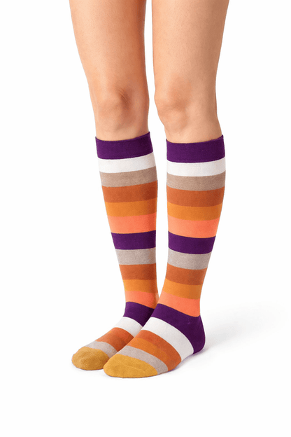 Toptan 6 Adet FUNNYSOXX Çember Desenli Kadın Dizaltı Çorap Premium Pamuklu & Likralı Konforlu Çorap Seti - funnysoxx